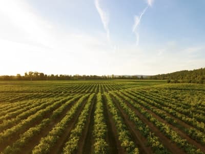 Area rural produtiva representando a agricultura familiar fluminense